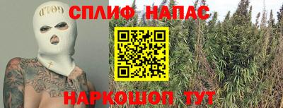 тгк Канаш