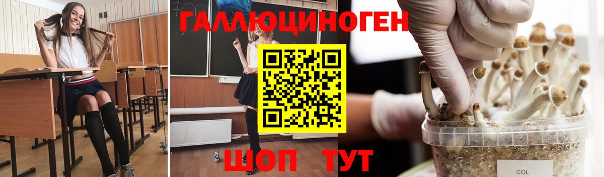 Псилоцибиновые грибы мухоморы  Вход с VPN  как найти закладки  Краснознаменск  Псилоцибиновые грибы Psilocybine cubensis 